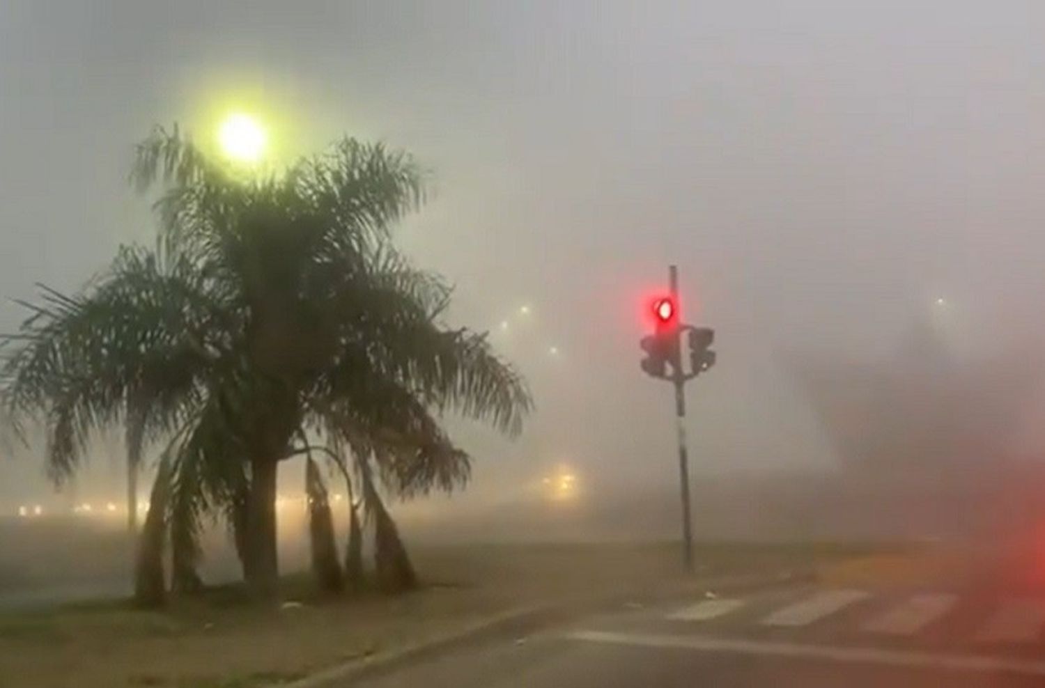 La niebla, invitada inesperada a otra fría jornada en Rosario