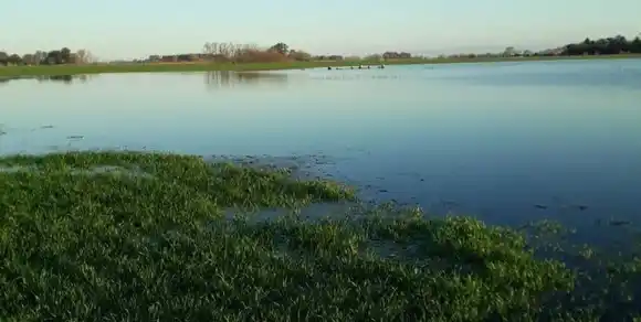 El Gobierno Nacional declaró la emergencia agropecuaria en tres provincias