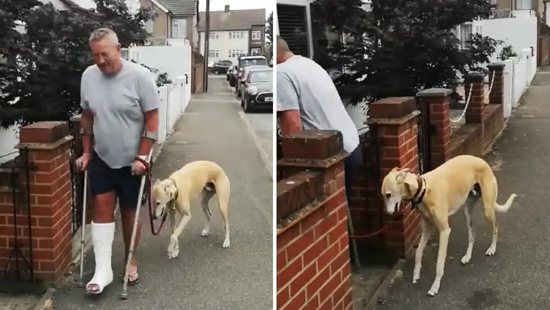 VIRAL. Gastó una fortuna en el veterinario para descubrir que su perro lo imitaba