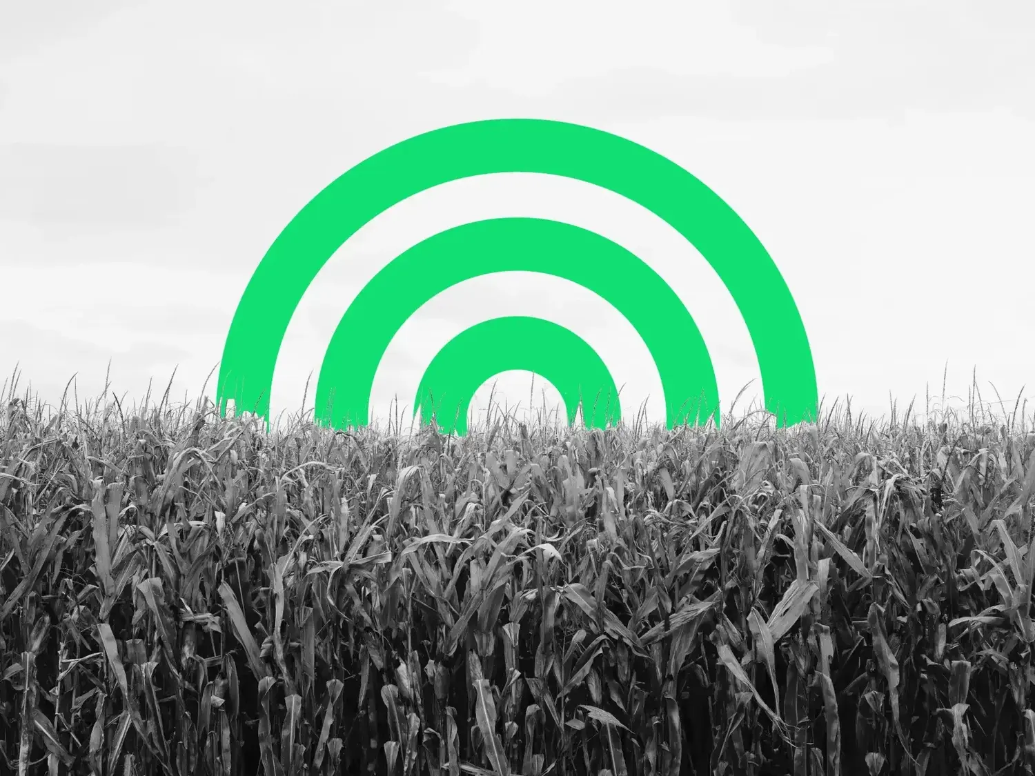 Integración de tecnología y conectividad en la siembra y el desarrollo del sector agropecuario en la región de Lobería.