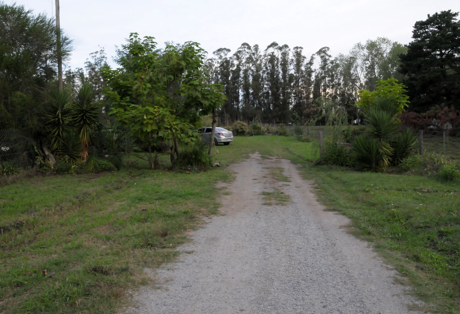 reclamo basura campus 25-01-22 (7)