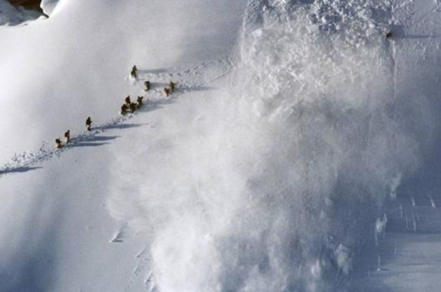 Avalancha en los Alpes italianos: un esquiador muerto y otro desaparecido