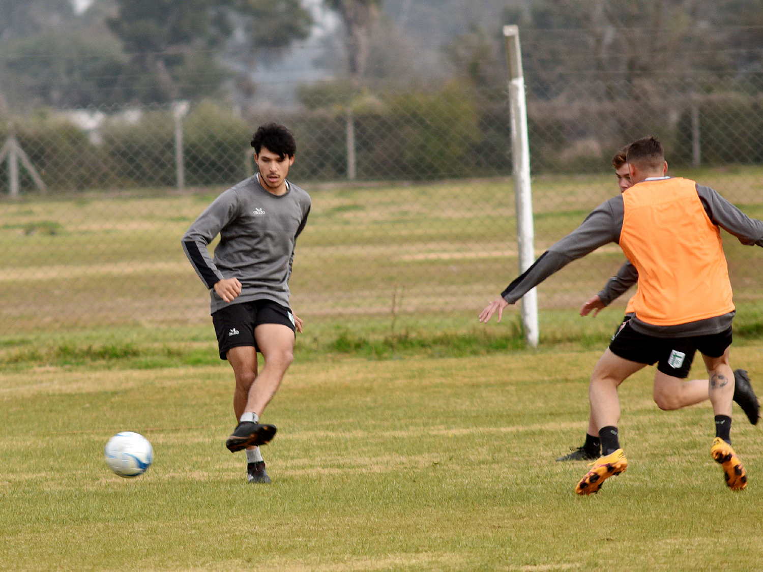 “Se está armando un equipo muy interesante”