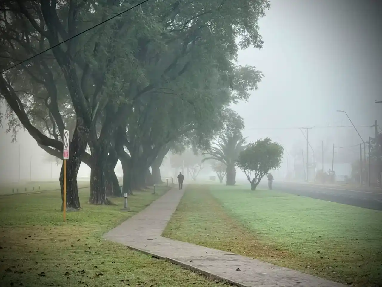 Mañana con niebla en San Francisco.