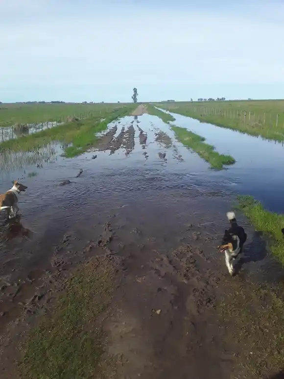 Legislatura: Diputada pidió que se declare la emergencia en caminos rurales de la Provincia
