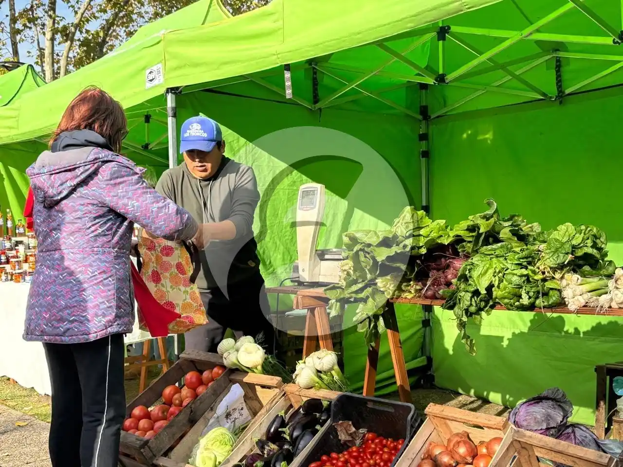 Nueva edición de "El Mercado"