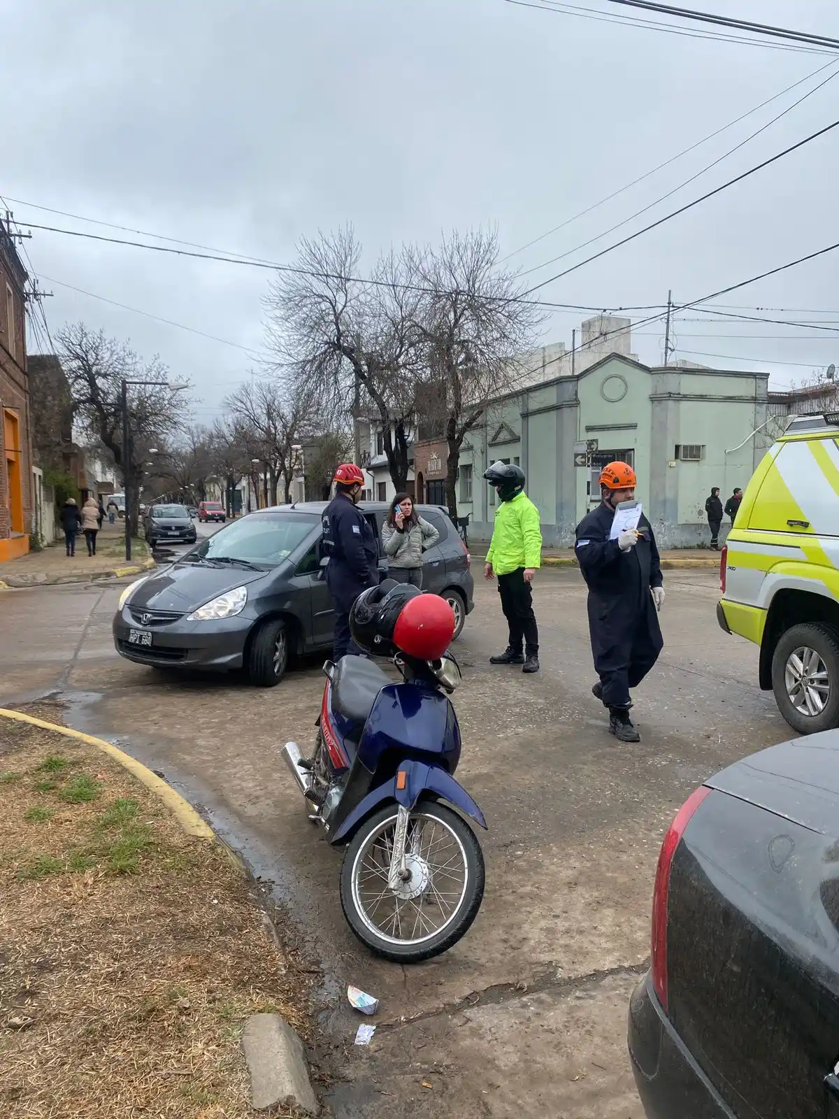 accidente venado - 1