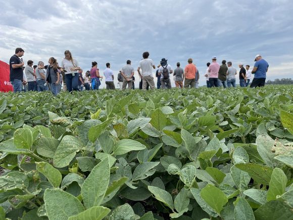 La soja Enlist bajo la lupa en un campo de El Carretero