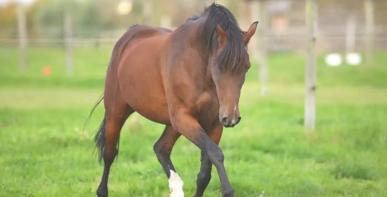 Hasta el momento se desconoce si estaba acompañada por algún familiar.