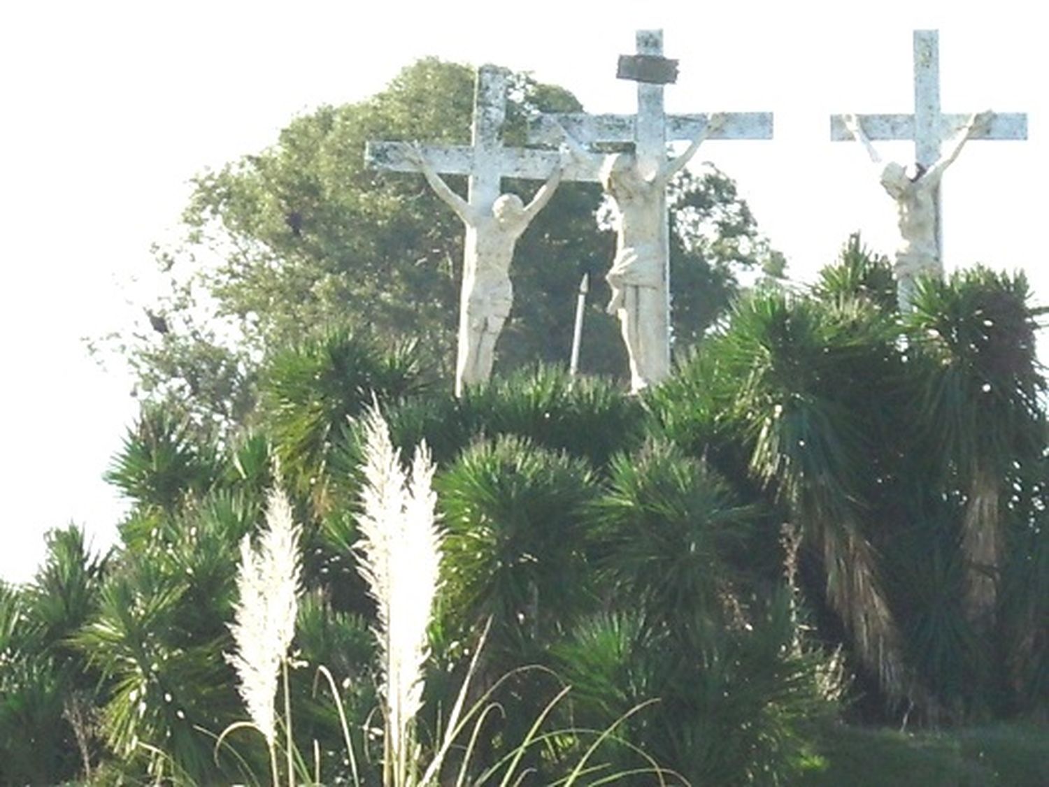 Trasladarán el Vía Crucis de la Ruta 14 al Parque Unzué