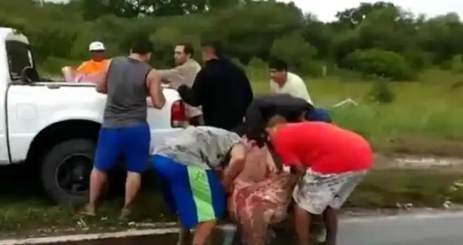 Gastroenteritis para quienes llevaron carne del camión volcado en ruta 11