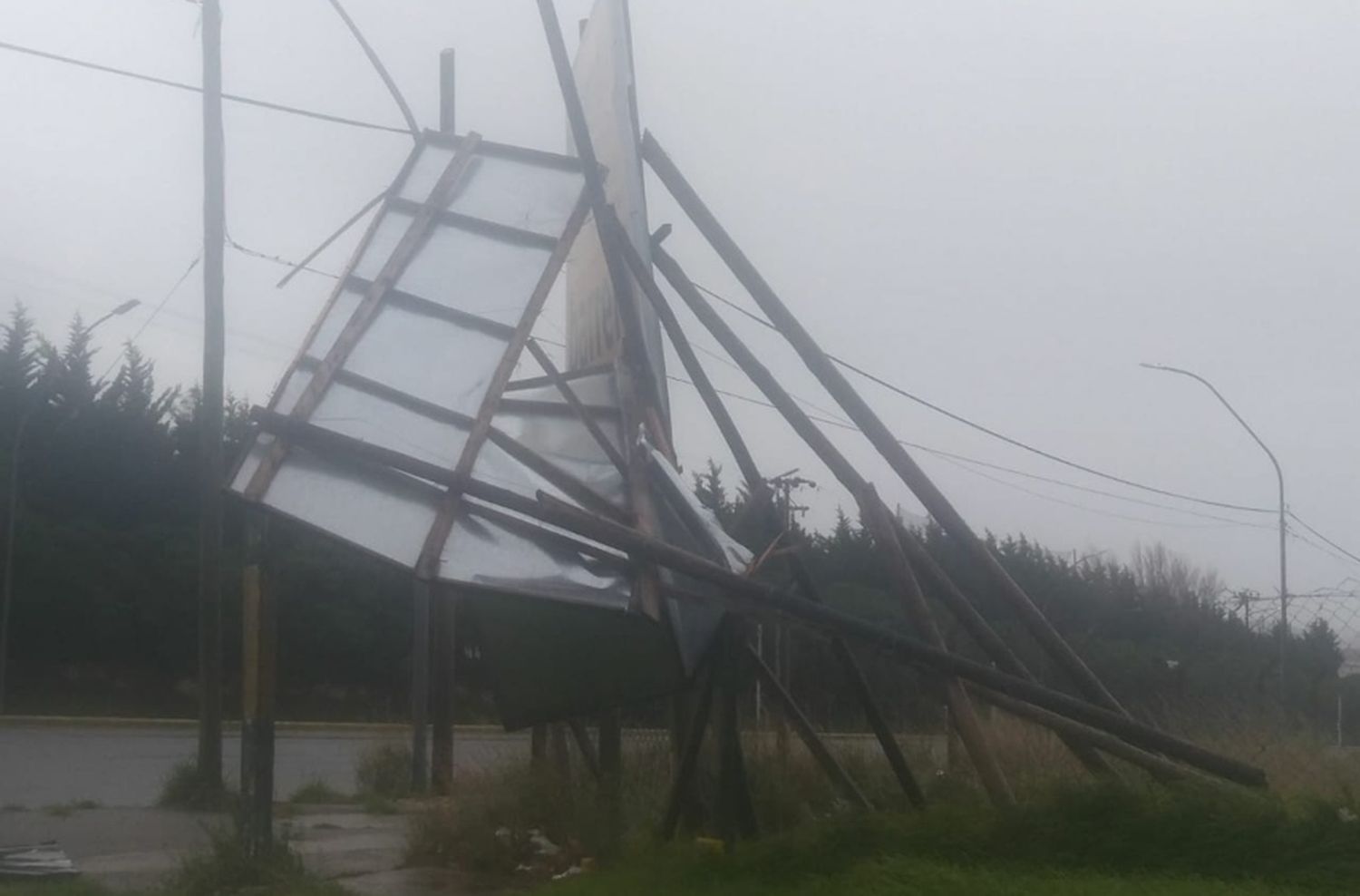 Un camión y la caída de una rama dejaron sin luz a barrios de la zona norte marplatense