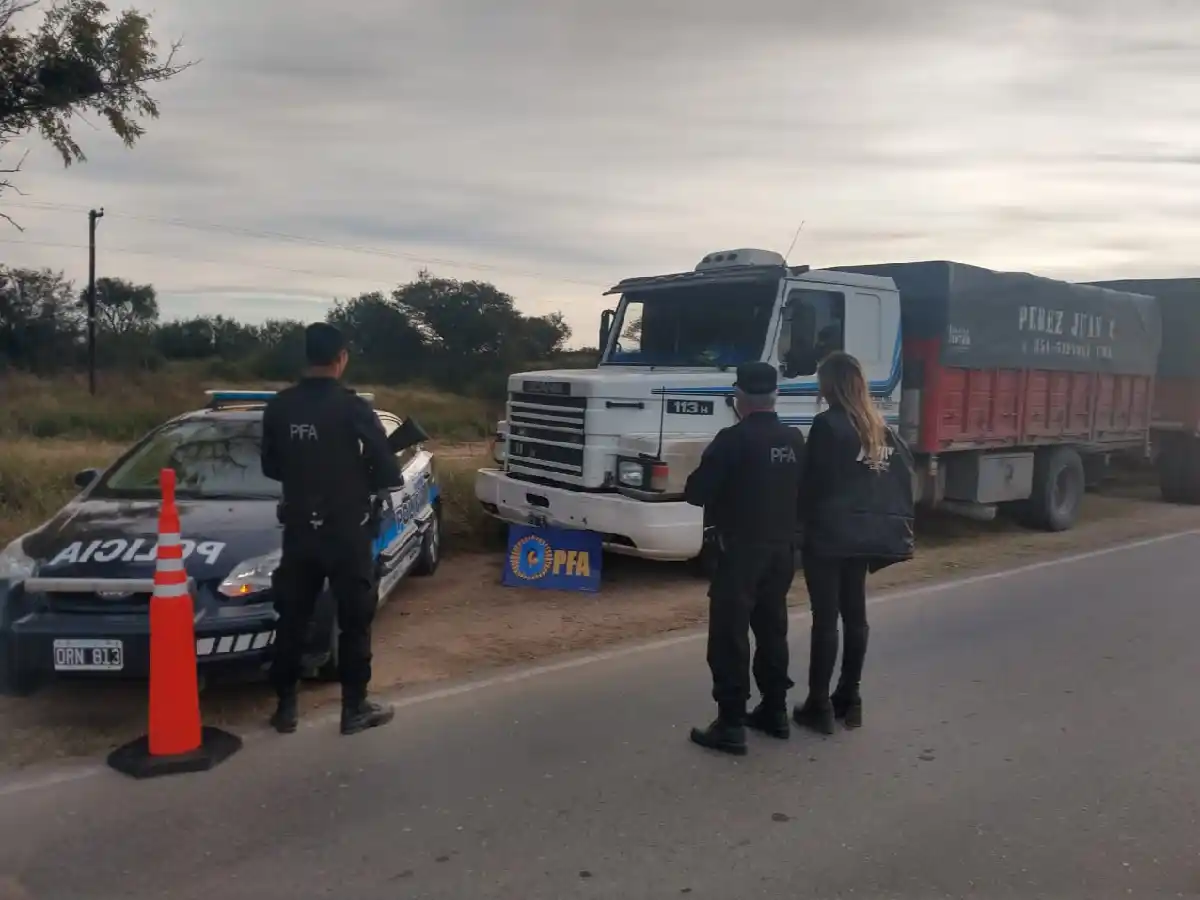 Secuestraron un camión que llevaba 30.000 kilos de soja sin los papeles en regla