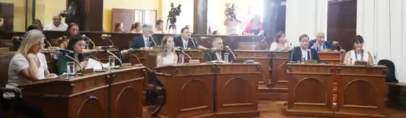 Aprobaron la normativa que regula el sistema privado de transporte de pasajeros y el servicio público de taxis