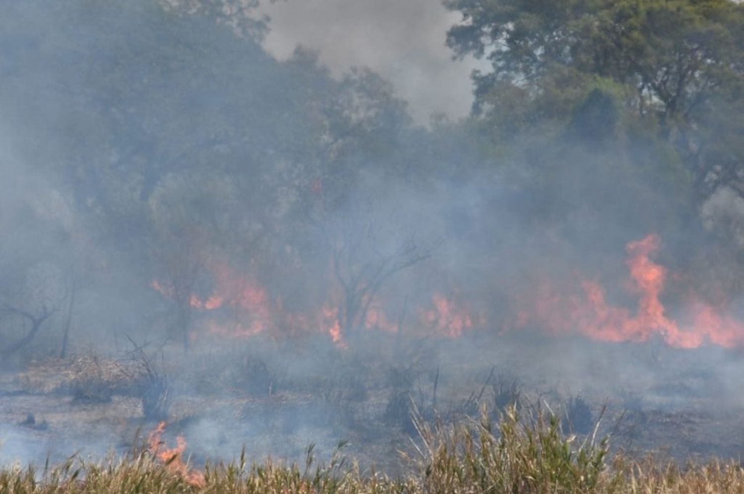 Nuevamente fuego a la vera de la Ruta Nacional 168