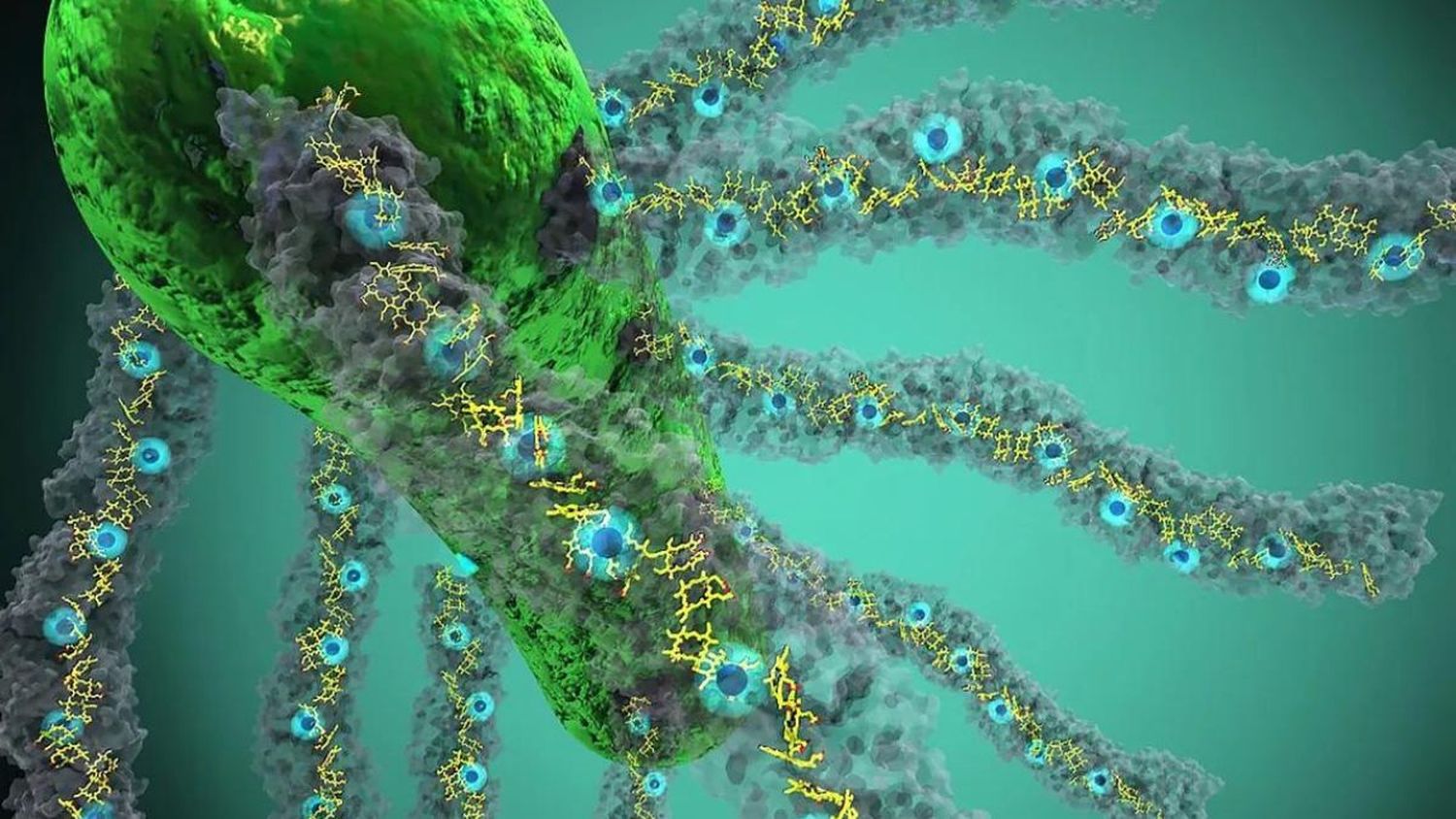 ¡ASOMBROSO! Estas bacterias pueden usar la luz para “respirar” electricidad