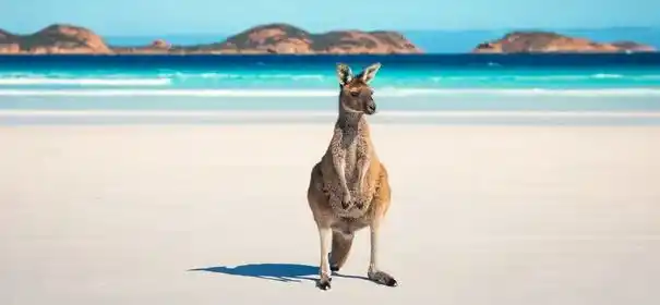 playa - 11