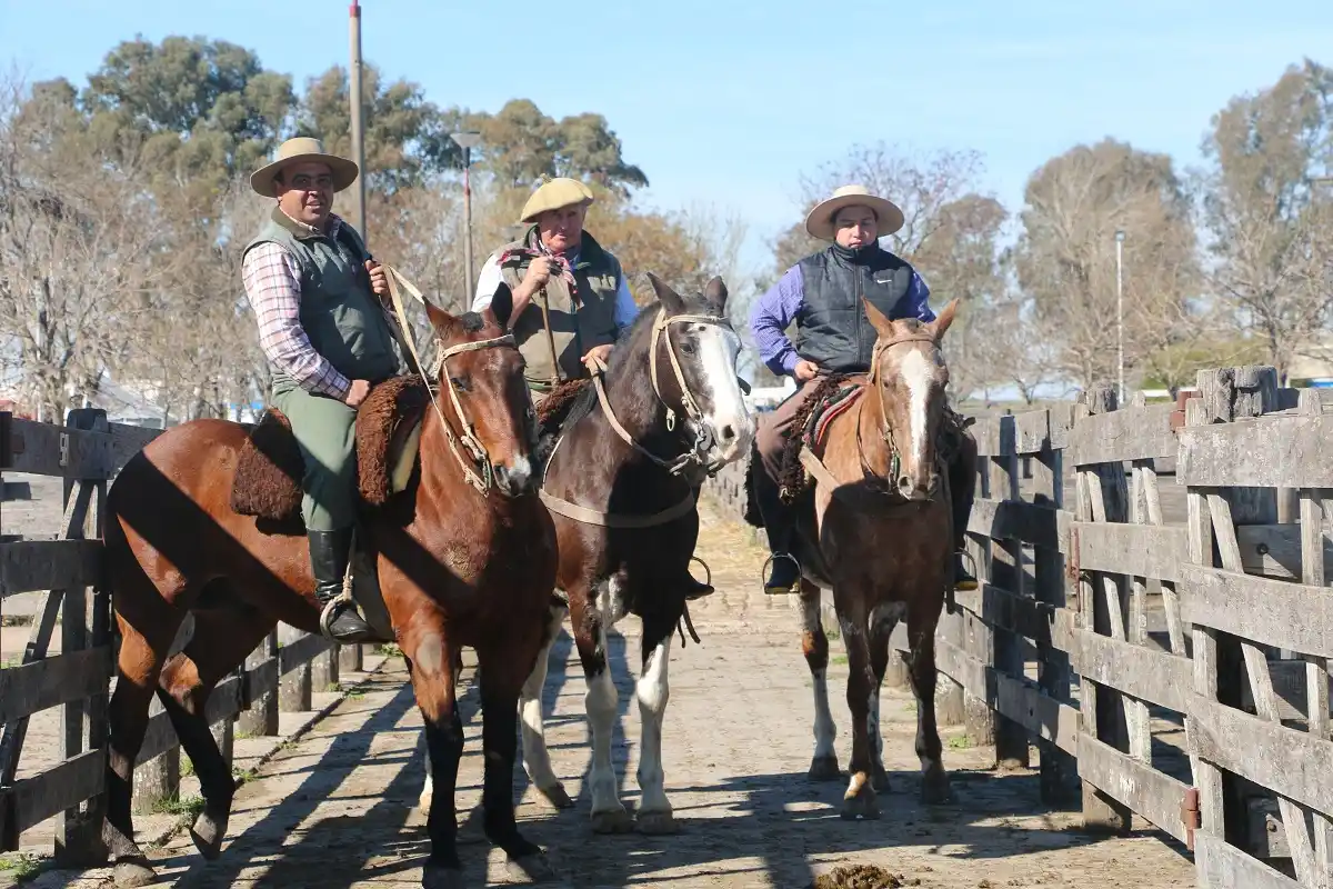 Con el ingreso de los animales, la Expo Rural 2019 se puso en marcha