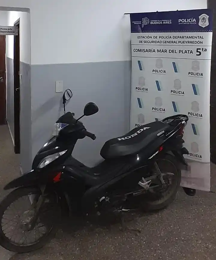 El rodado no poseía dominio.
