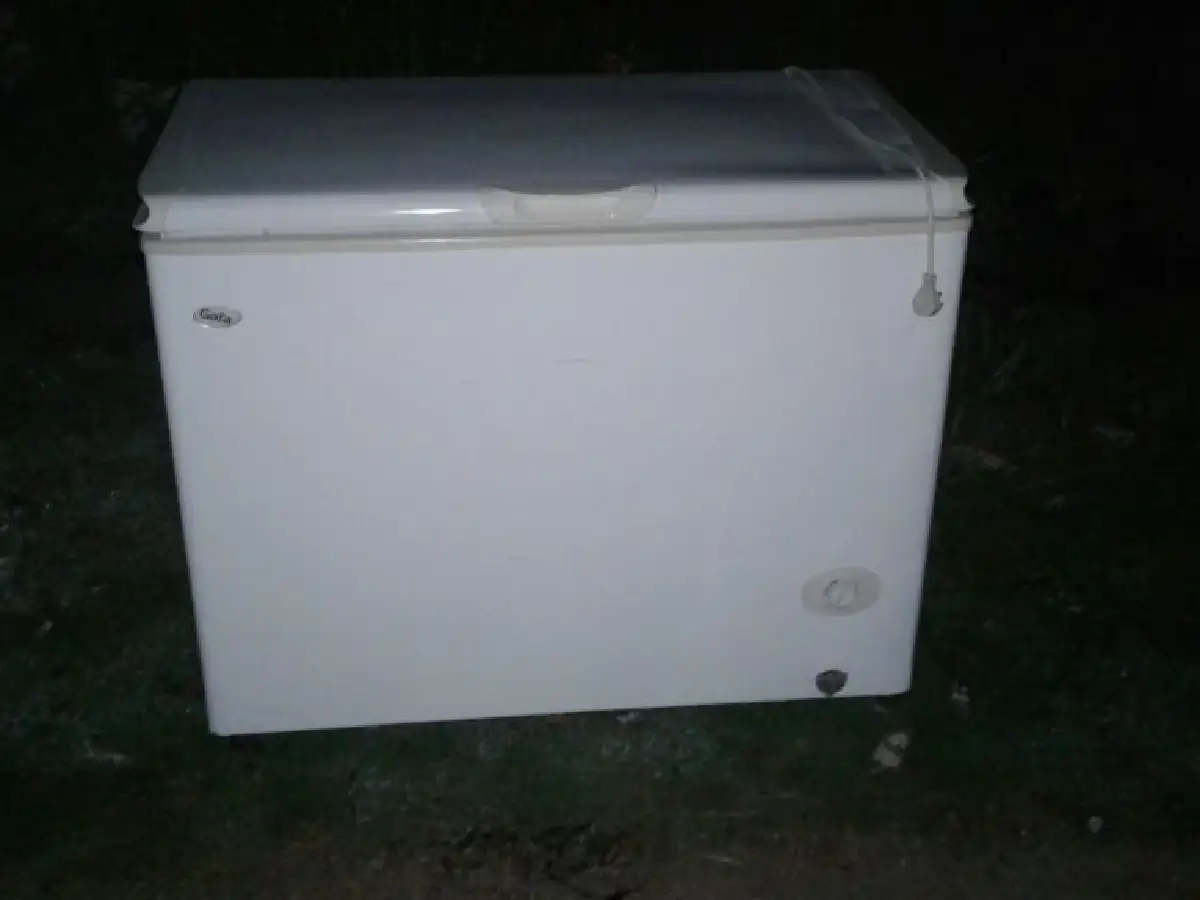 Recuperan freezer robado