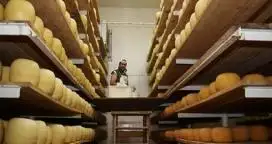 Argentina: el séptimo productor mundial de quesos