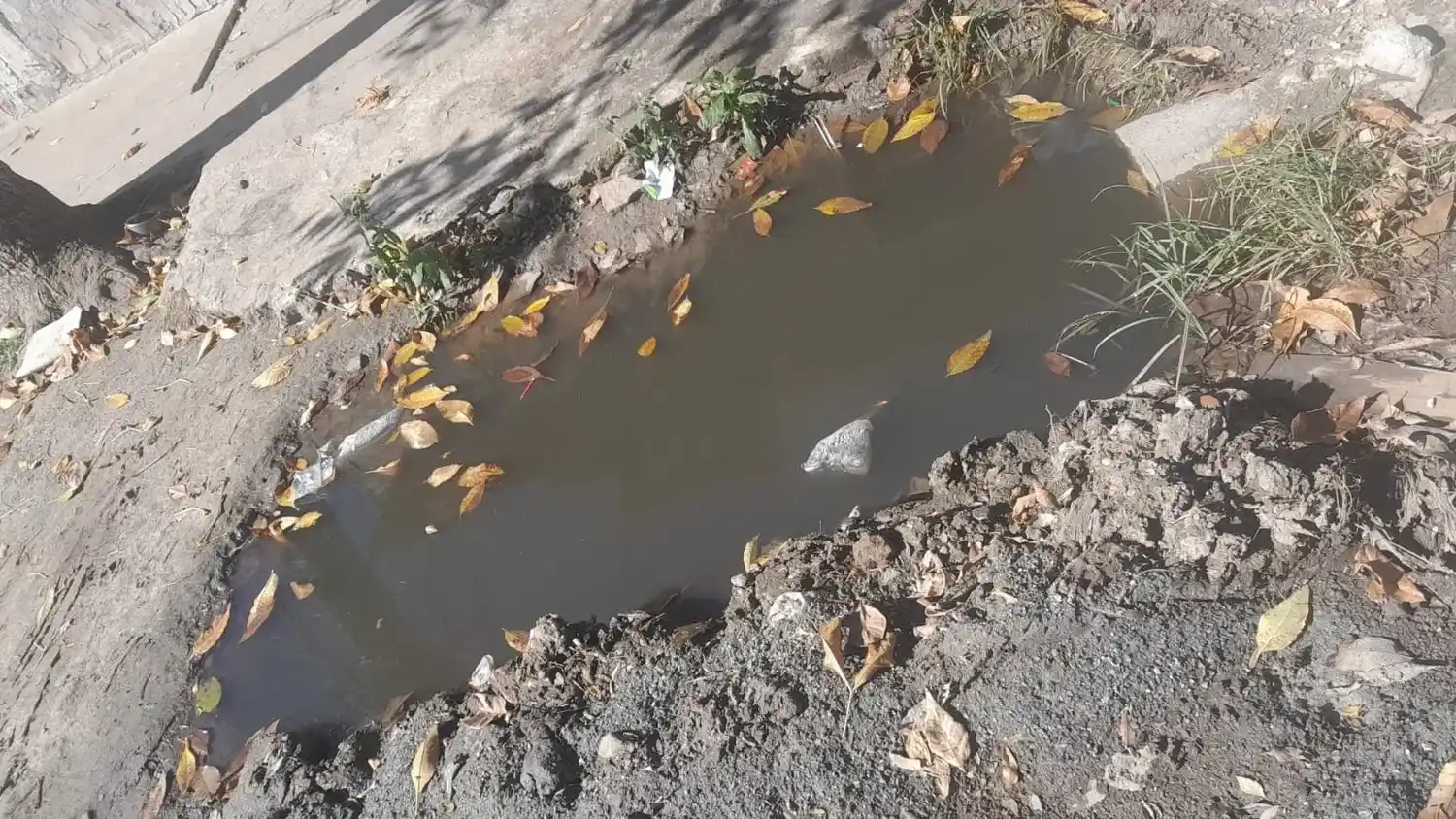Cloacas rebalsadas en Cabrera 2100