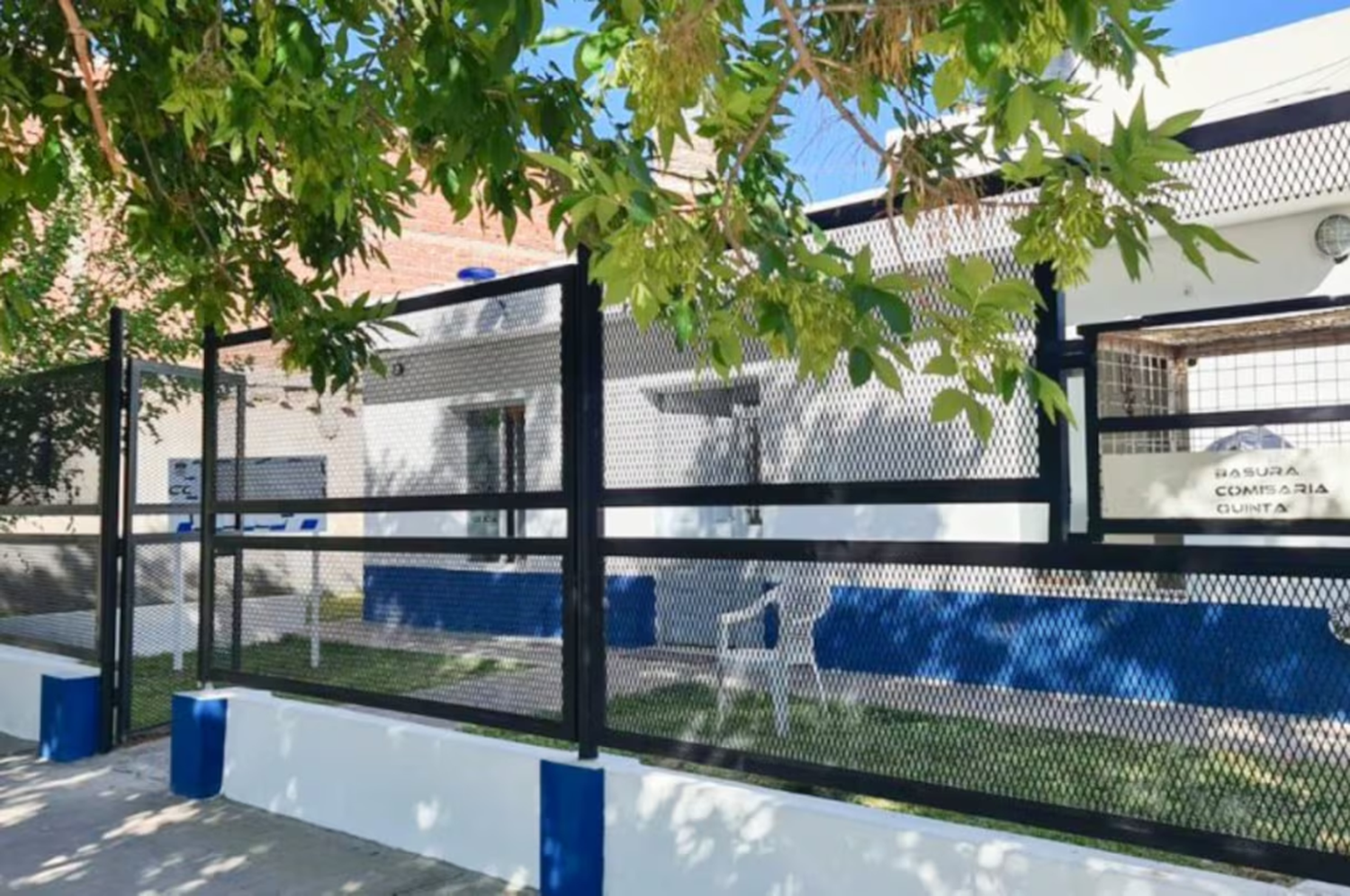La joven fue asistida rápidamente por su familia y se encuentra fuera de peligro.