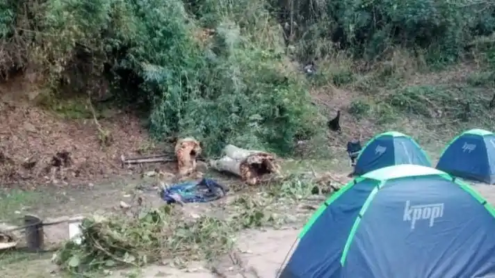 ERA SU DÍA: muere estudiante de la UNES al caer un árbol en su carpa