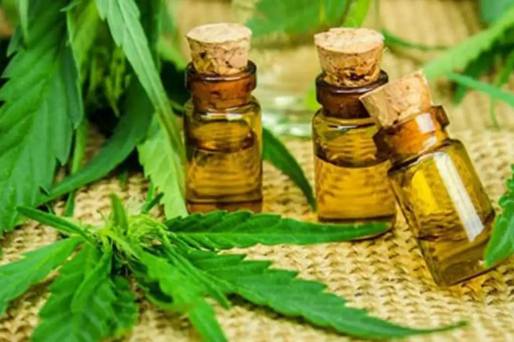 Con el eje en la salud, presentarán un acuerdo para regular el cannabis