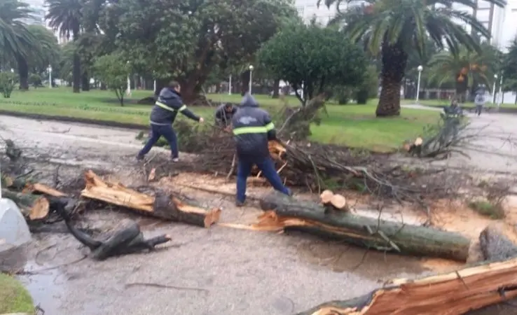 Temporal: Suspenden clases en Mar del Plata, Miramar y Mar Chiquita