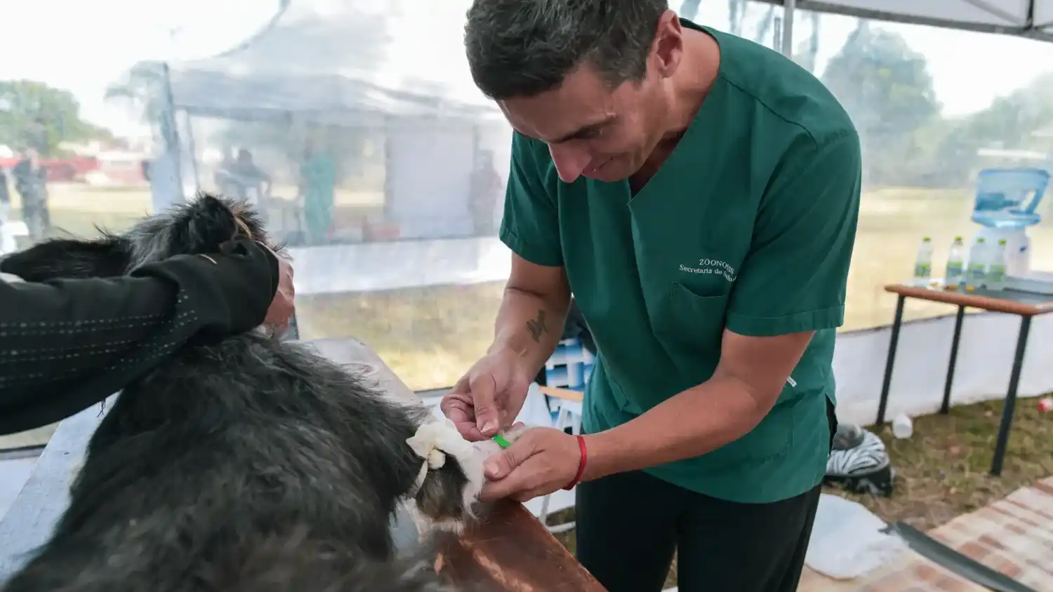 Los quirófanos móviles recorrerán nuevos barrios con castraciones gratuitas para perros y gatos