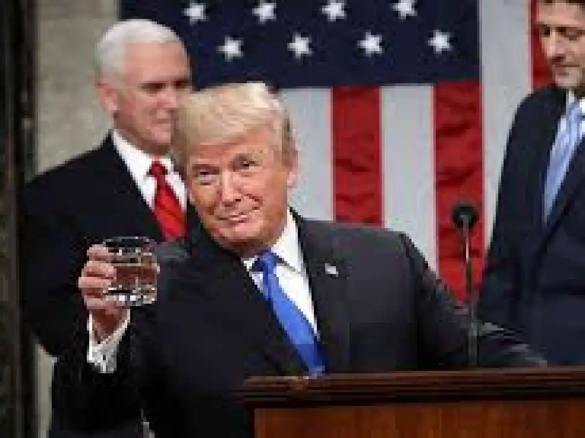 Estados Unidos eligió un Congreso dividido y Donald Trump cantó victoria