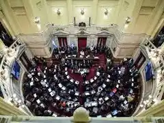 Sesiona el Senado: buscarán rechazar vetos sobre emergencia pediátrica y universidades