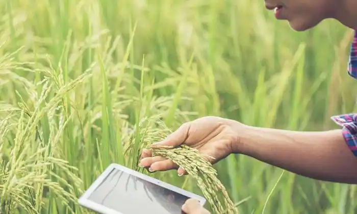 Realizan capacitación sobre aportes no reembolsables para productores