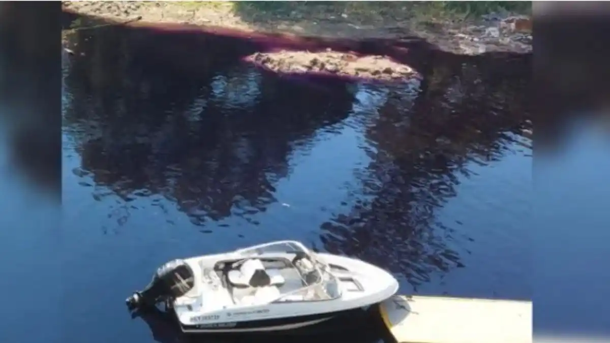 El agua de la desembocadura del arroyo Ludueña se tiñó de color violeta