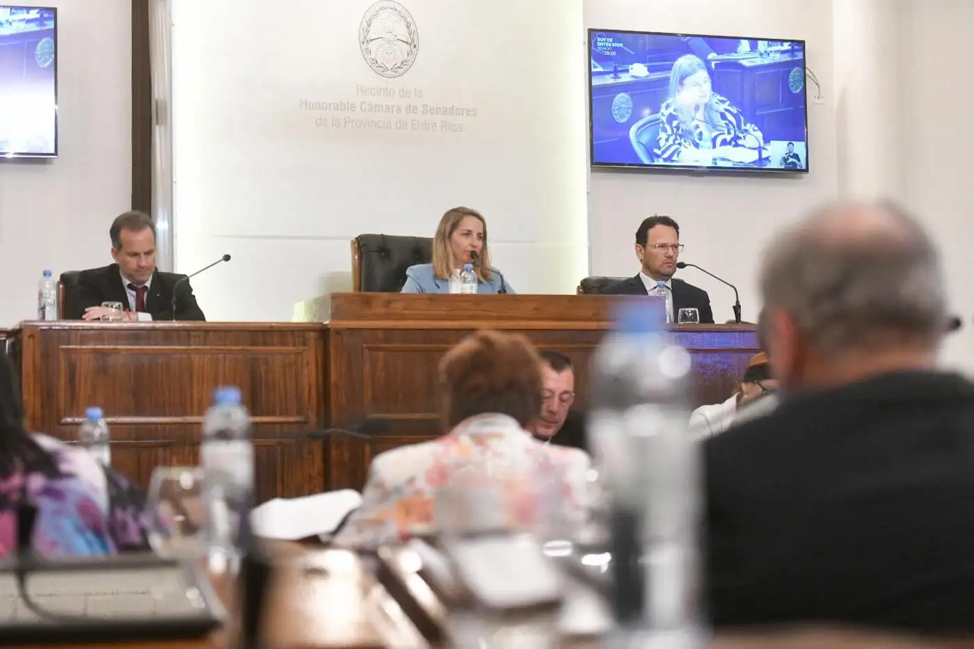 La Cámara de Senadores Aprueba el Presupuesto 2024 para Entre Ríos y Otros Proyectos de Importancia