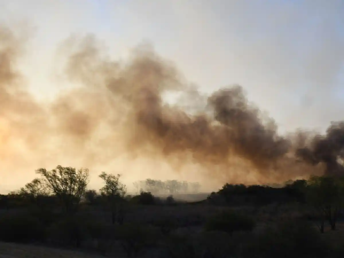 Hay focos de incendios forestales en Entre Ríos, Buenos Aires, San Luis y Catamarca
