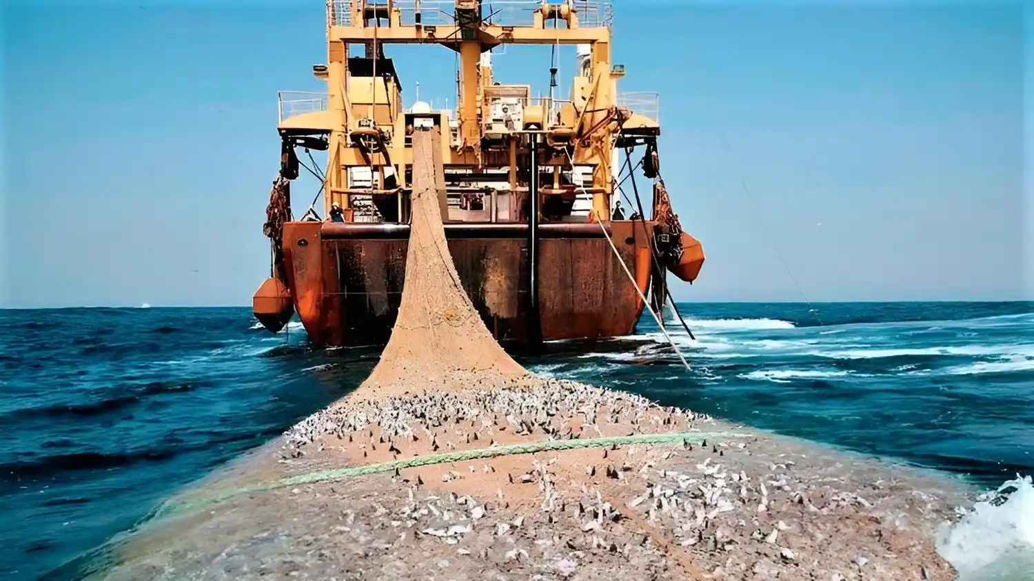 Pesca ilegal 2