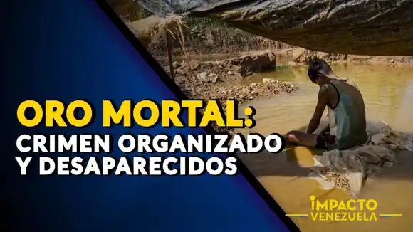 ORO MORTAL: Crimen organizado y desaparecidos – VIDEO