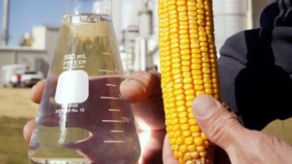 La producción nacional de bioetanol de maíz creció 10,5 % en 2023