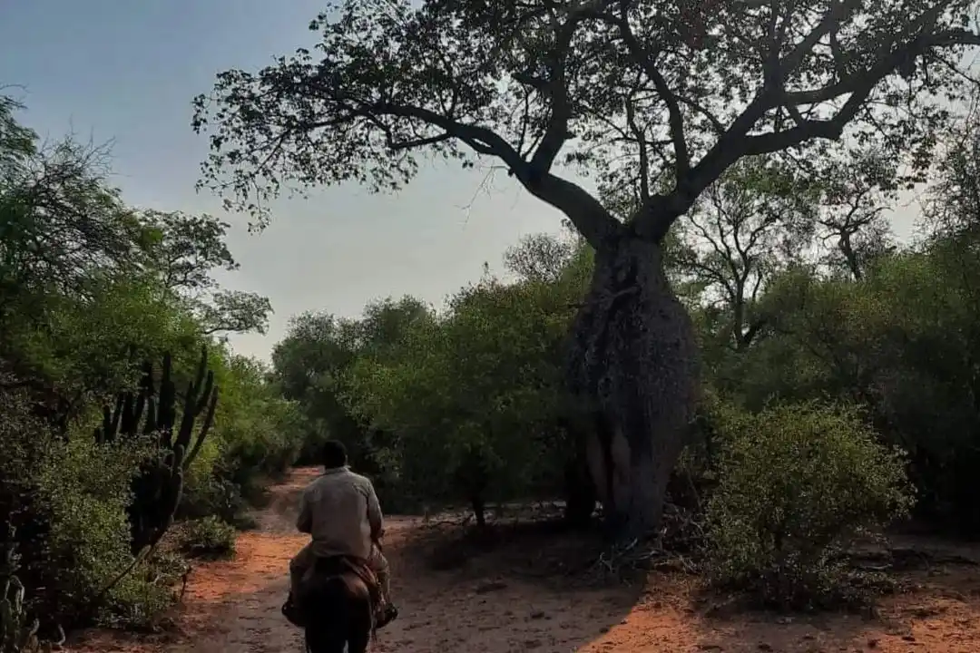 La Reserva Natural Formosa, un paisaje único en la provincia