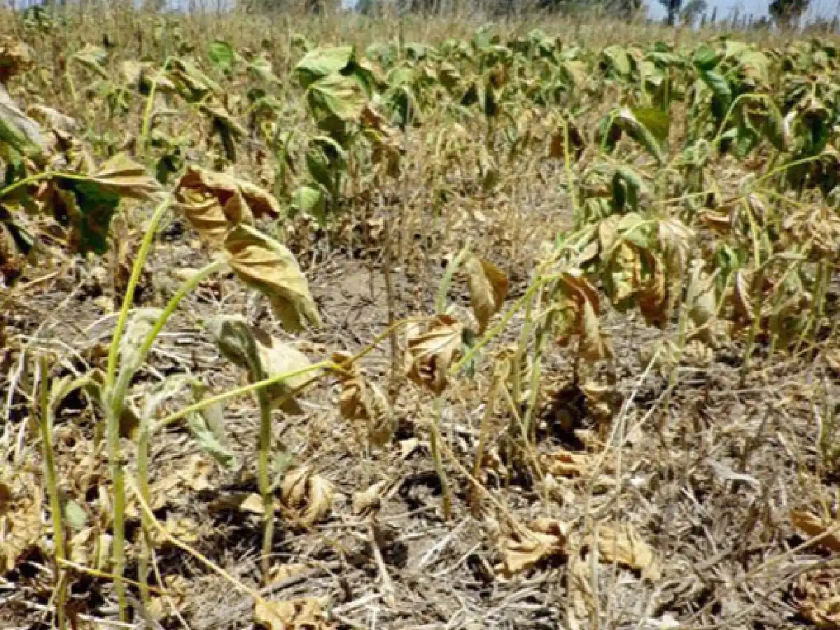 La Niña comienza a disiparse: ¿cómo será el verano 2023?   