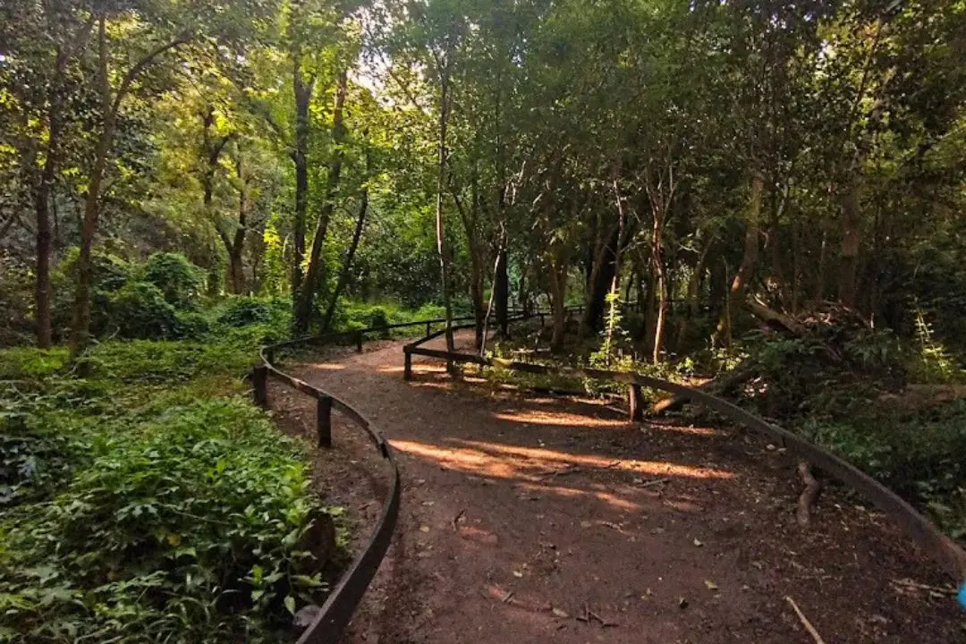 La Municipalidad avabza en tareas de mantenimiento del Bosque Besaccia