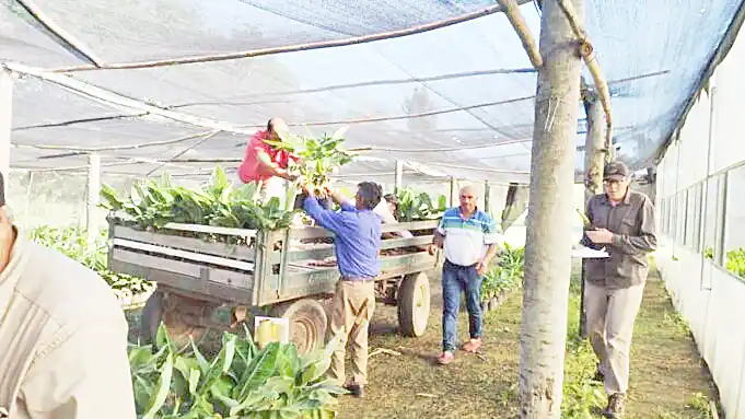 Feria de Pequeños Productores en Riacho He Hé