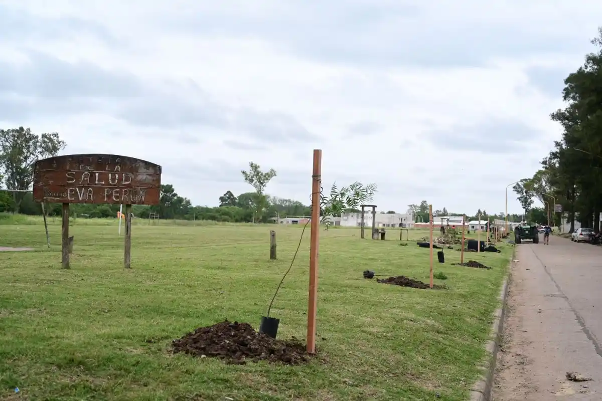 Se plantaron más de 20 árboles nativos en un vecindario de la ciudad
