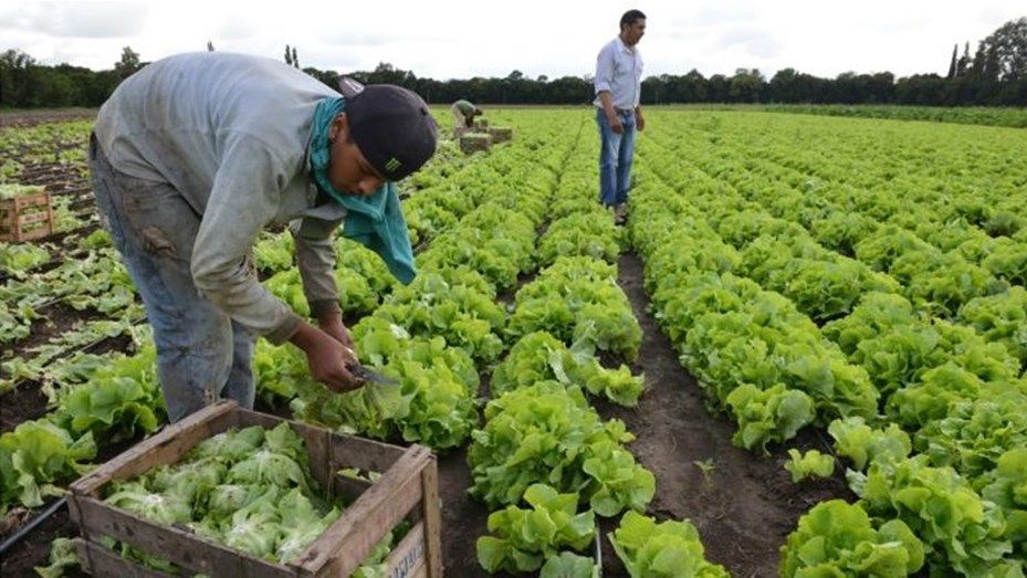 Trabajadores rurales percibirán el bono de 5.000 pesos en tres cuotas