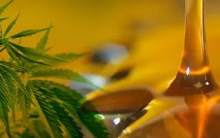 Diputados: Media sanción a la legalización del cannabis medicinal