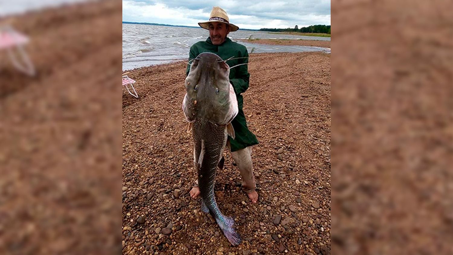 Pescó un gigantesco surubí de 52 kilos