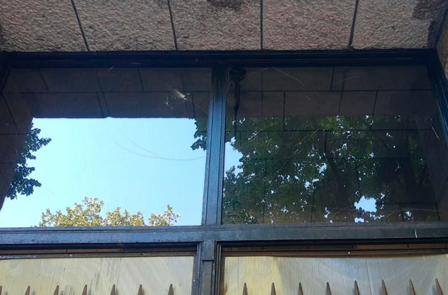 Fuera de sí, rompió con piedras vidrios de la puerta de acceso del Palacio comunal