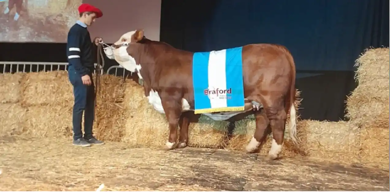 El ejemplar de Felipe Martinez se trajo grandes reconocimientos de la Rural